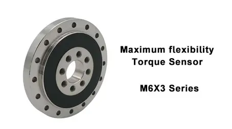 Torque Sensor
